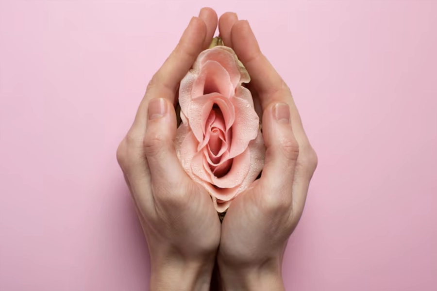 Dış Dudak Estetiği