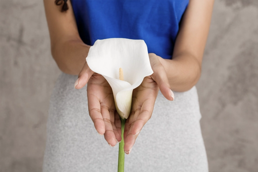 Genital Estetik Sonrası Bakım